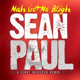 Cover art for Nah Get No Bligh (Remix)