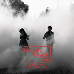 Cover art for Dust On The Ground