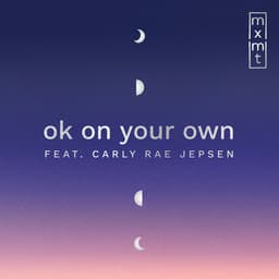 Cover art for ok on your own
