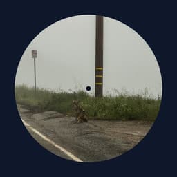 Cover art for 14 minutes