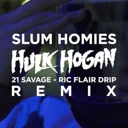 Cover art for Hulk Hogan (Remix)