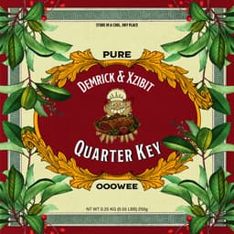 Cover art for Quarter Key (with Xzibit)