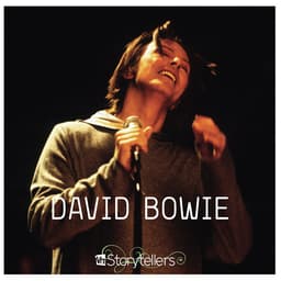 Cover art for VH1 Storytellers (Live)