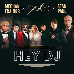Cover art for Hey DJ (Remix)