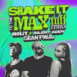 Cover art for Shake It To The Max (Tuff Remix)