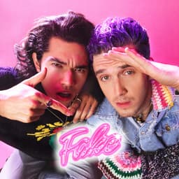 Cover art for Fake