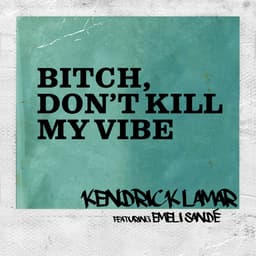 Cover art for Bitch, Don't Kill My Vibe (Remix)