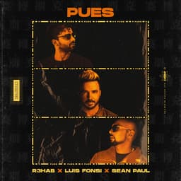 Cover art for Pues
