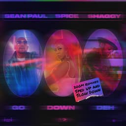 Cover art for Go Down Deh 200m Remixes (feat. Shaggy & Sean Paul)