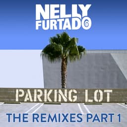 Cover art for Parking Lot (The Remixes Part 1)