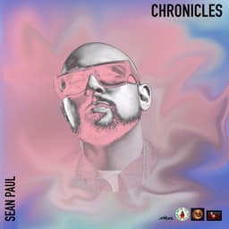 Cover art for Chronicles