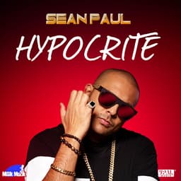 Cover art for Hypocrite