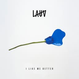 Cover art for I Like Me Better