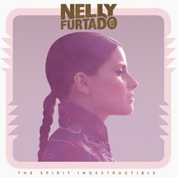 Cover art for The Spirit Indestructible (Deluxe)