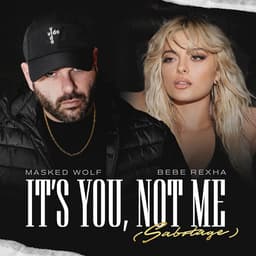 Cover art for It’s You, Not Me (Sabotage)