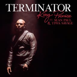 Cover art for Terminator (Remix)