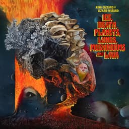 Cover art for Ice, Death, Planets, Lungs, Mushrooms And Lava