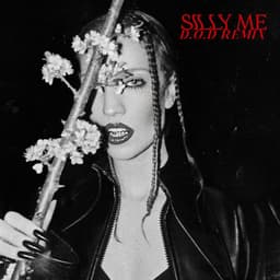 Cover art for Silly Me (D.O.D Remix)
