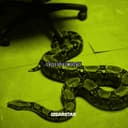 Großraumbüro cover art