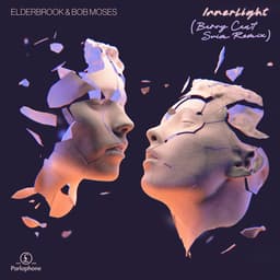 Cover art for Inner Light (Barry Can’t Swim Remix)