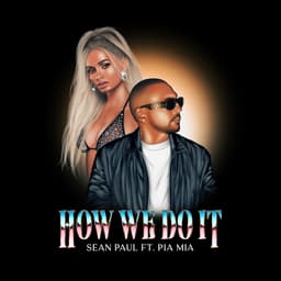 Cover art for How We Do It