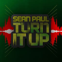 Cover art for Turn It Up