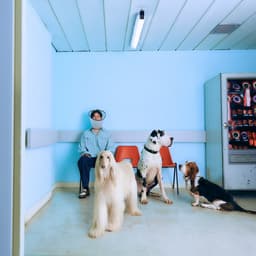 Cover art for Different