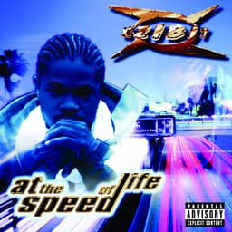 Cover art for At The Speed Of Life
