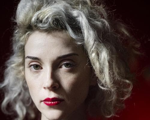 A closeup picture of St. Vincent.